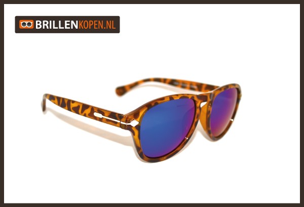 RT3002-(b) Retro Mirror I Zonnebril